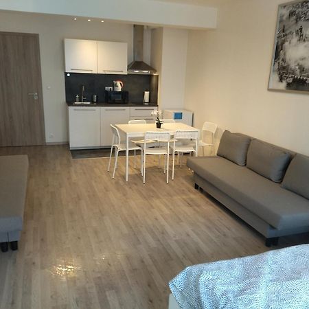 Brand New Studio Apartment #24 In Elite Residence With Free Secure Parking In The Center Прага Экстерьер фото